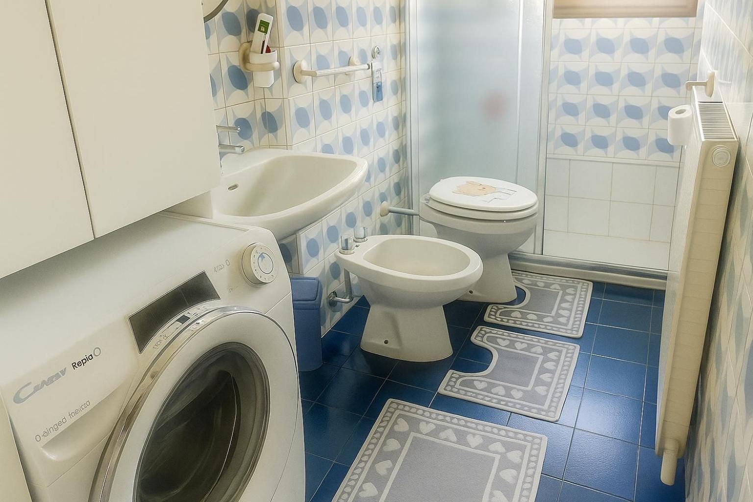 The bathroom, with the washing machine